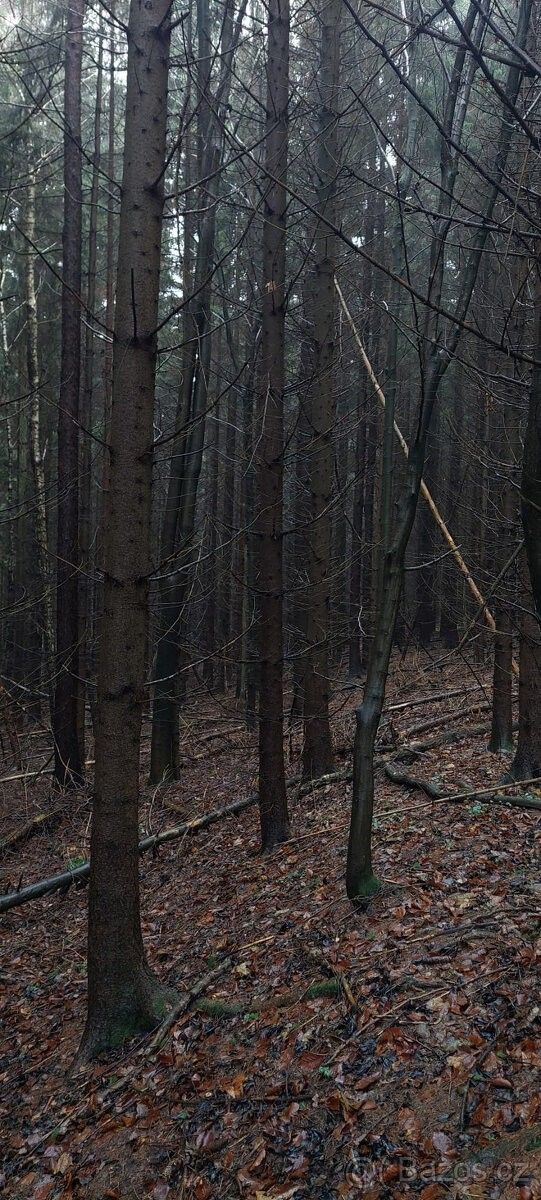 Pozemky pro bydlení, Slavičín, 763 21