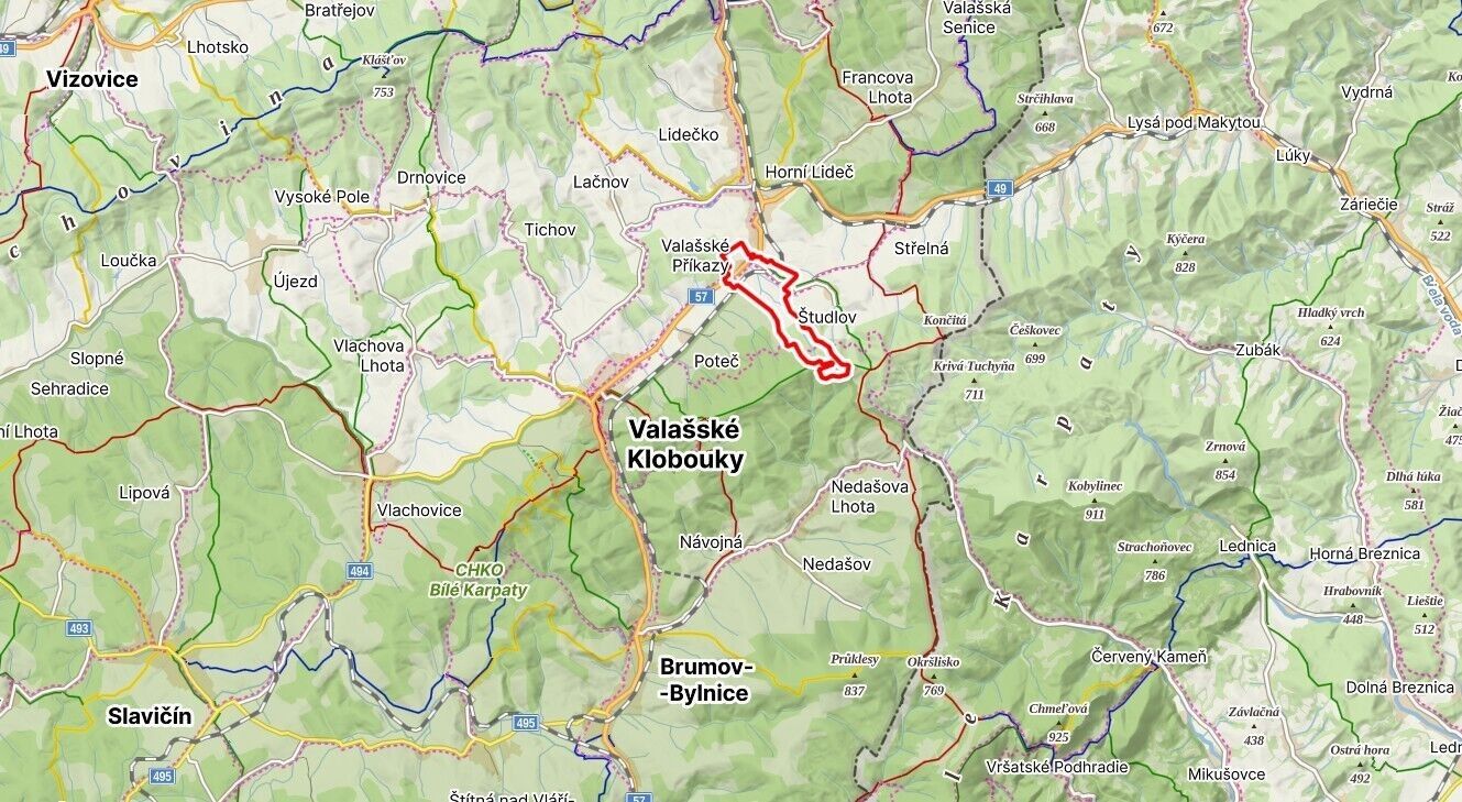 Zemědělský pozemek · 8 746 m² · Valašské Příkazy - 3