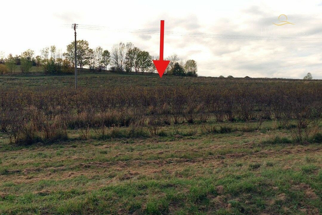 Prodej zemědělský pozemek - Podměstská, Proseč - Podměstí, okres Chrudim - 5