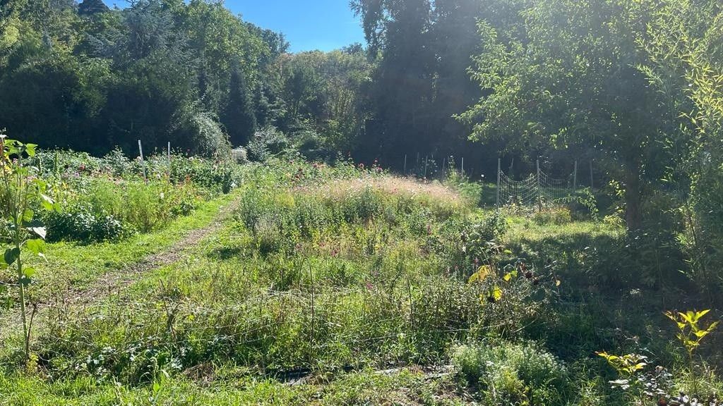 Pronájem zahrada - Praha, 143 00