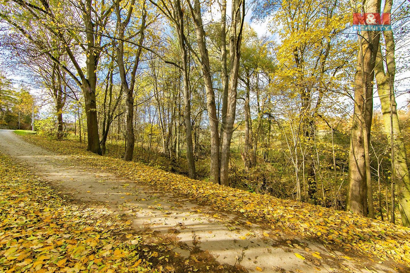 Louka · Konstantinovy Lázně - Dlouhé Hradiště, okres Tachov, Plzeňský kraj - 4