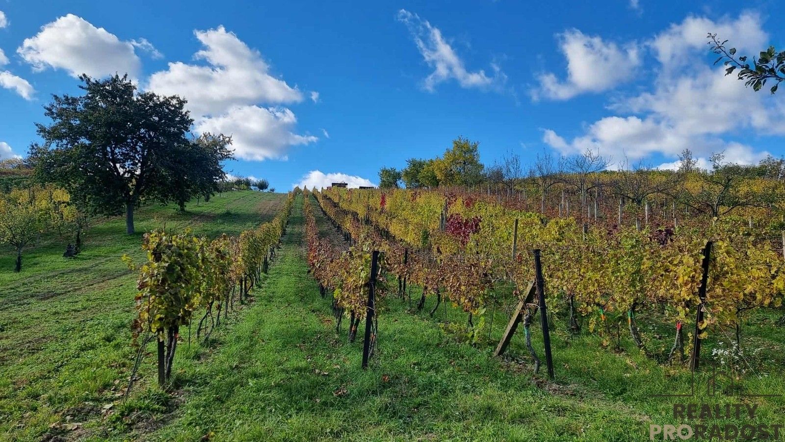 Prodej ostatní - Mutěnice, 120 m²