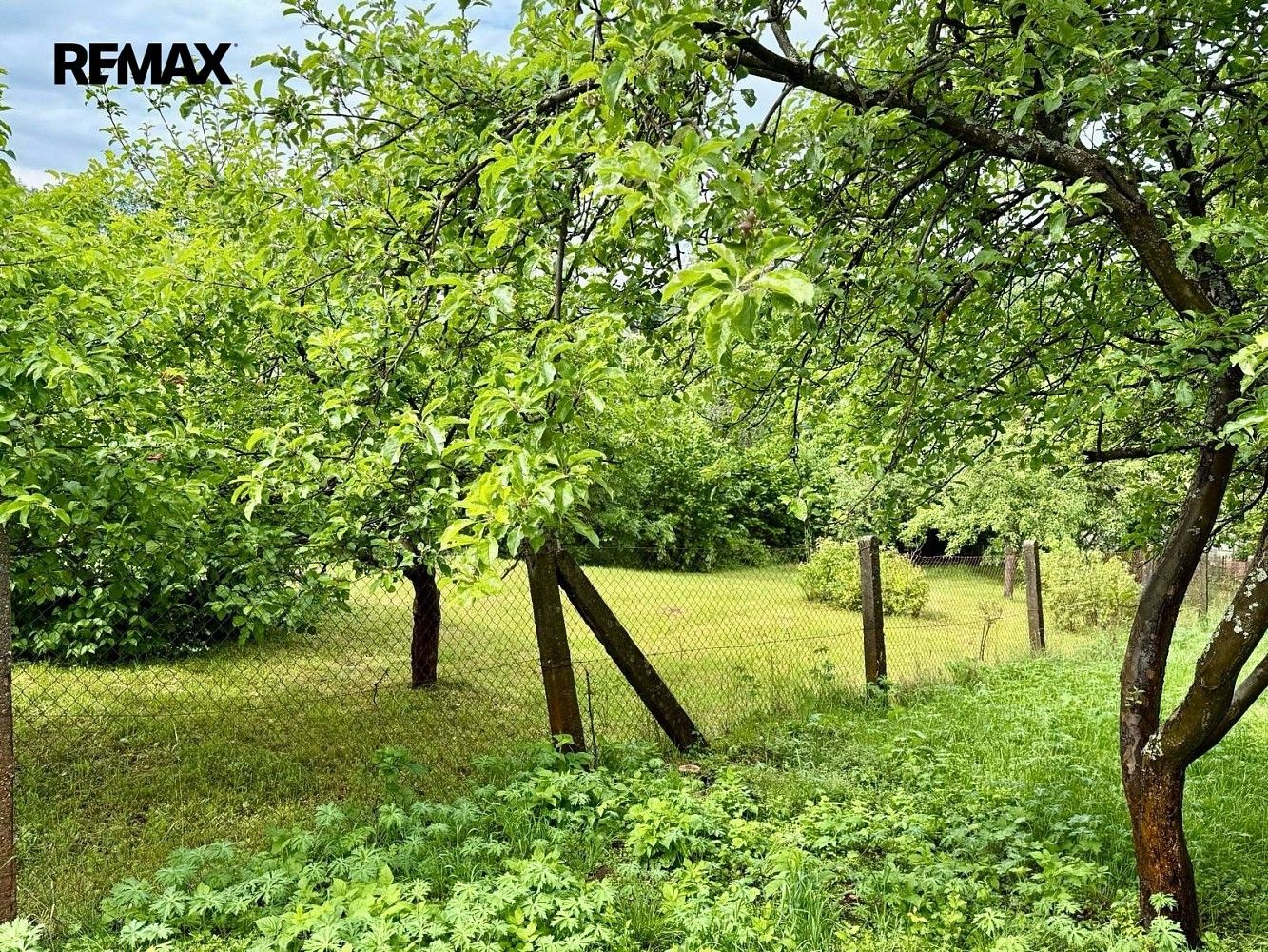 Prodej pozemek pro bydlení - Drozdov, okres Šumperk, Olomoucký kraj - 5