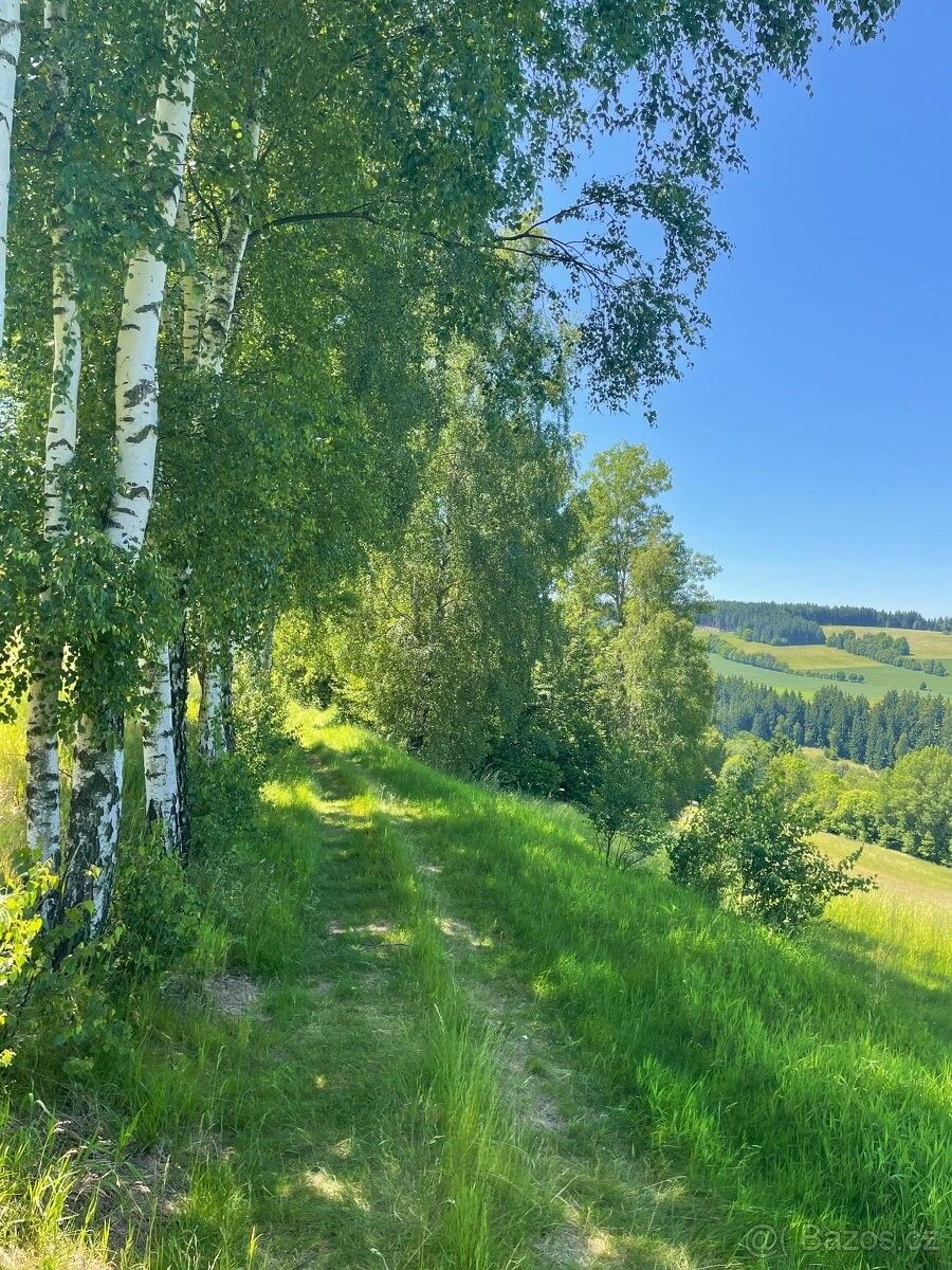 Prodej pozemek pro bydlení - Sněžné, 592 03 - 5