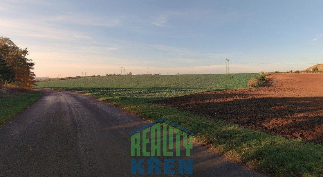 Zemědělský pozemek · Plaňany Blinka - 3