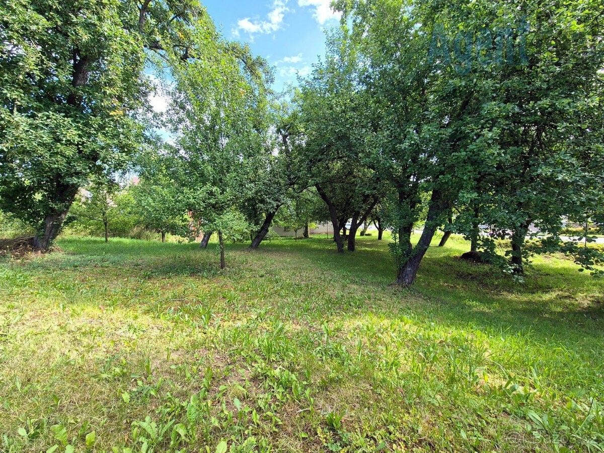 Pozemky pro bydlení, Zábřeh, 789 01