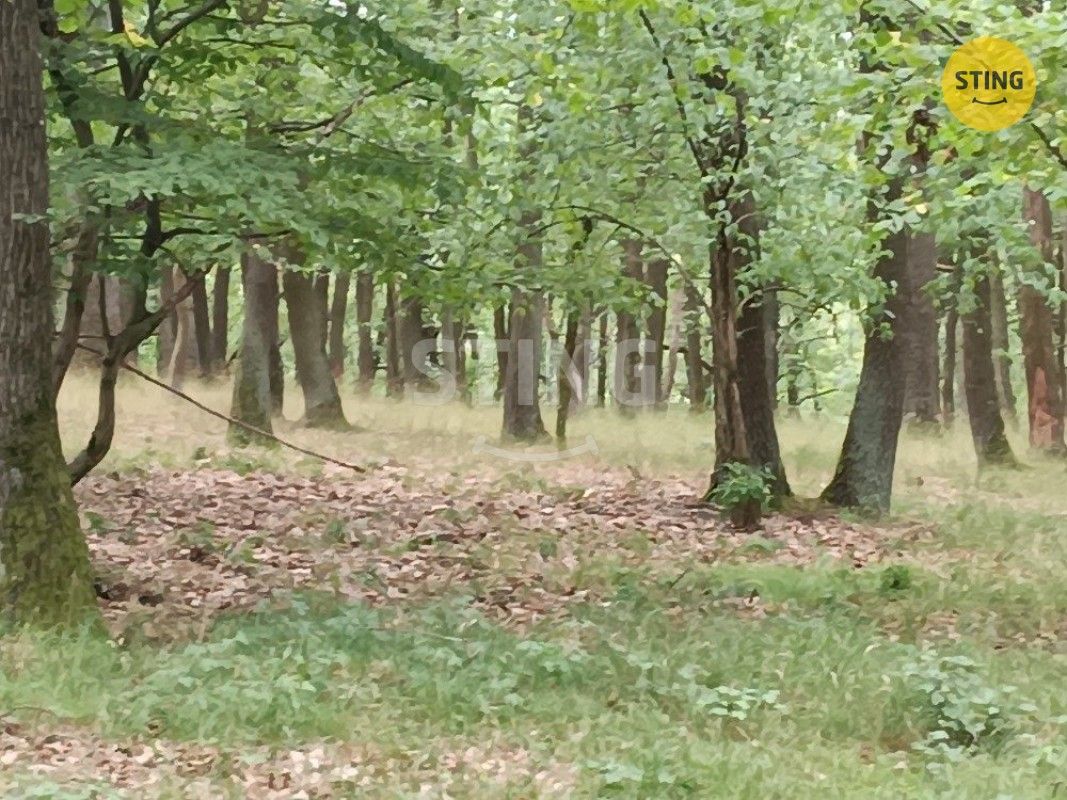 Lesy, Morkůvky, 2 723 m²