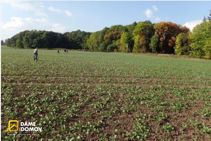 Zemědělský pozemek · 5 667 m² · Rohatec - 3