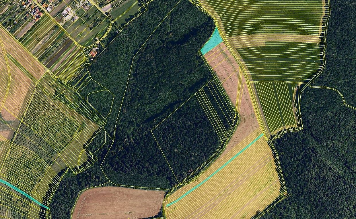 Zemědělský pozemek · Kobeřice u Brna, okres Vyškov, Jihomoravský kraj - 4