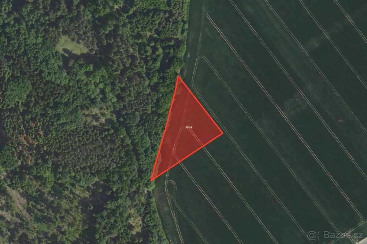 Prodej pozemek pro bydlení - Malešov, 285 41