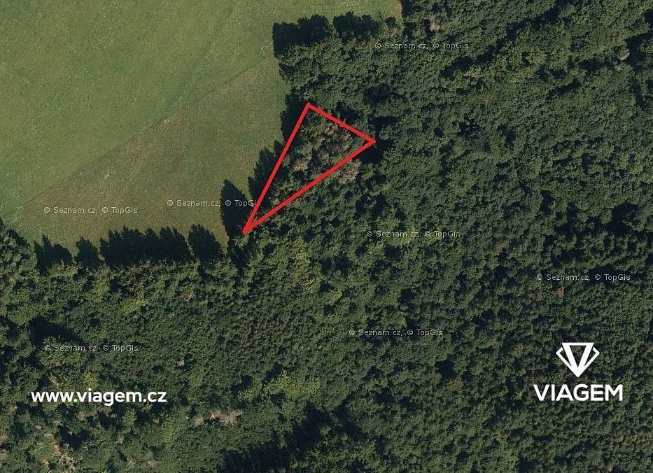 Prodej les - Kosov, okres Šumperk, Olomoucký kraj - 2