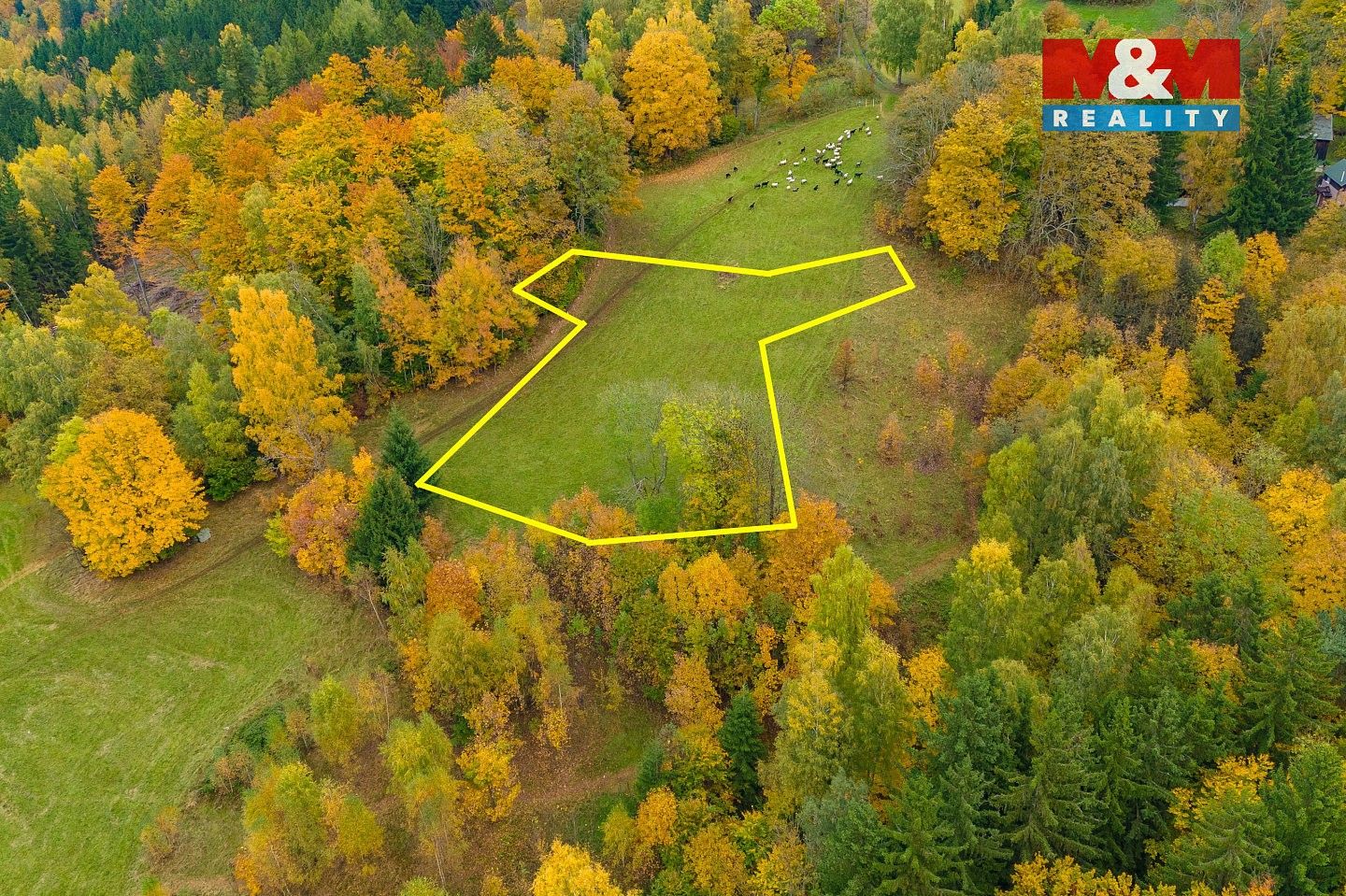 Louky, Tanvald - Šumburk nad Desnou, okres Jablonec nad Nisou, Liberecký kraj - 2