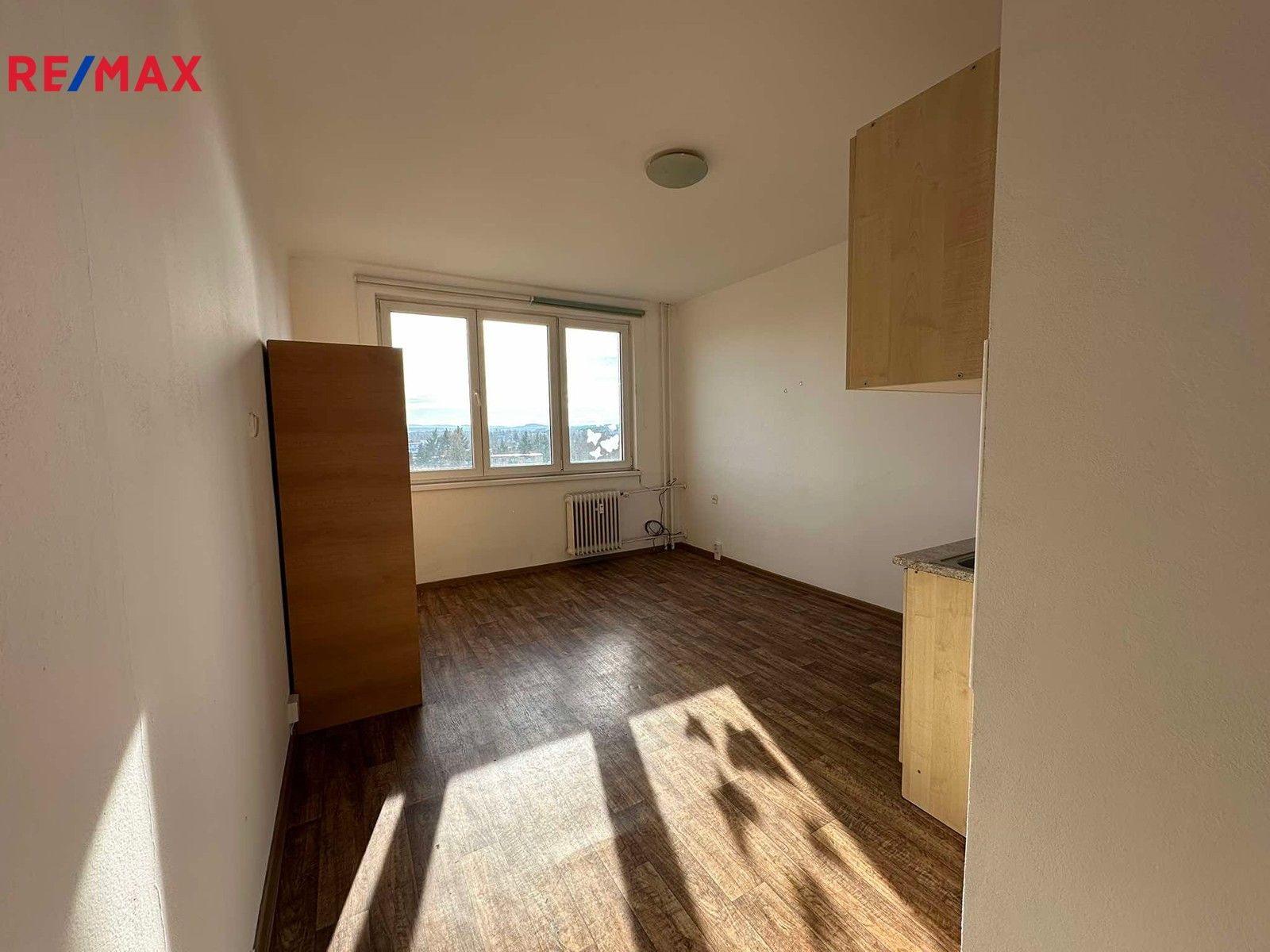 Pronájem byt 1+kk - U Trojice, České Budějovice, 21 m²