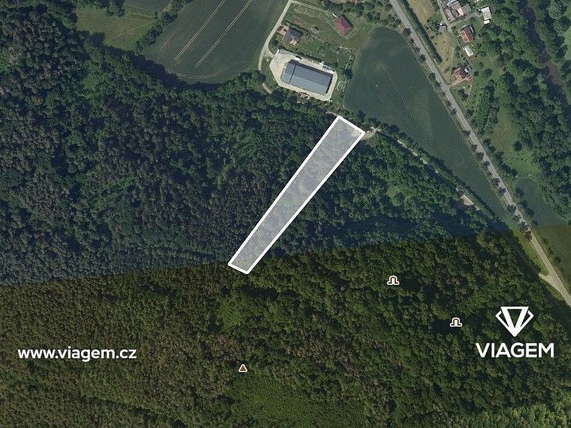Les · Štěpánovice, okres Brno-venkov, Jihomoravský kraj - 2