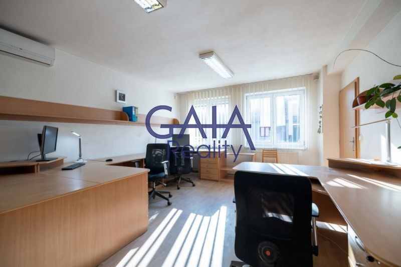 Prodej obchodní prostory - Dolní Konec, Vacenovice, 692 m²