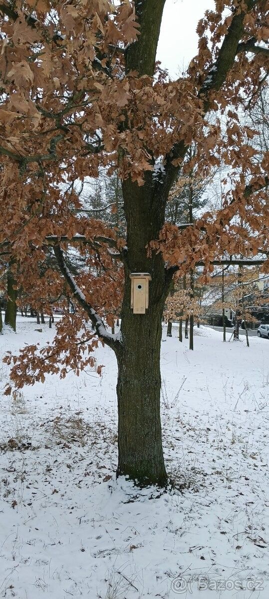Pronájem byt - Brno, 625 00