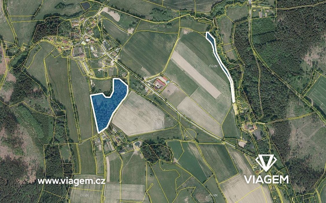 Les · Světlá nad Sázavou, okres Havlíčkův Brod - 3