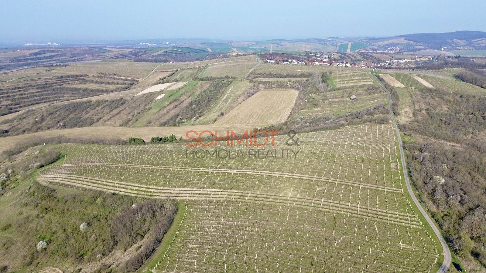 Pozemek · Němčičky, okres Břeclav, Jihomoravský kraj - 3