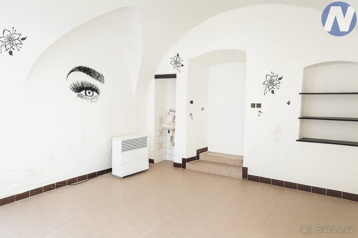 Pronájem obchodní prostory - Husinec, 384 21