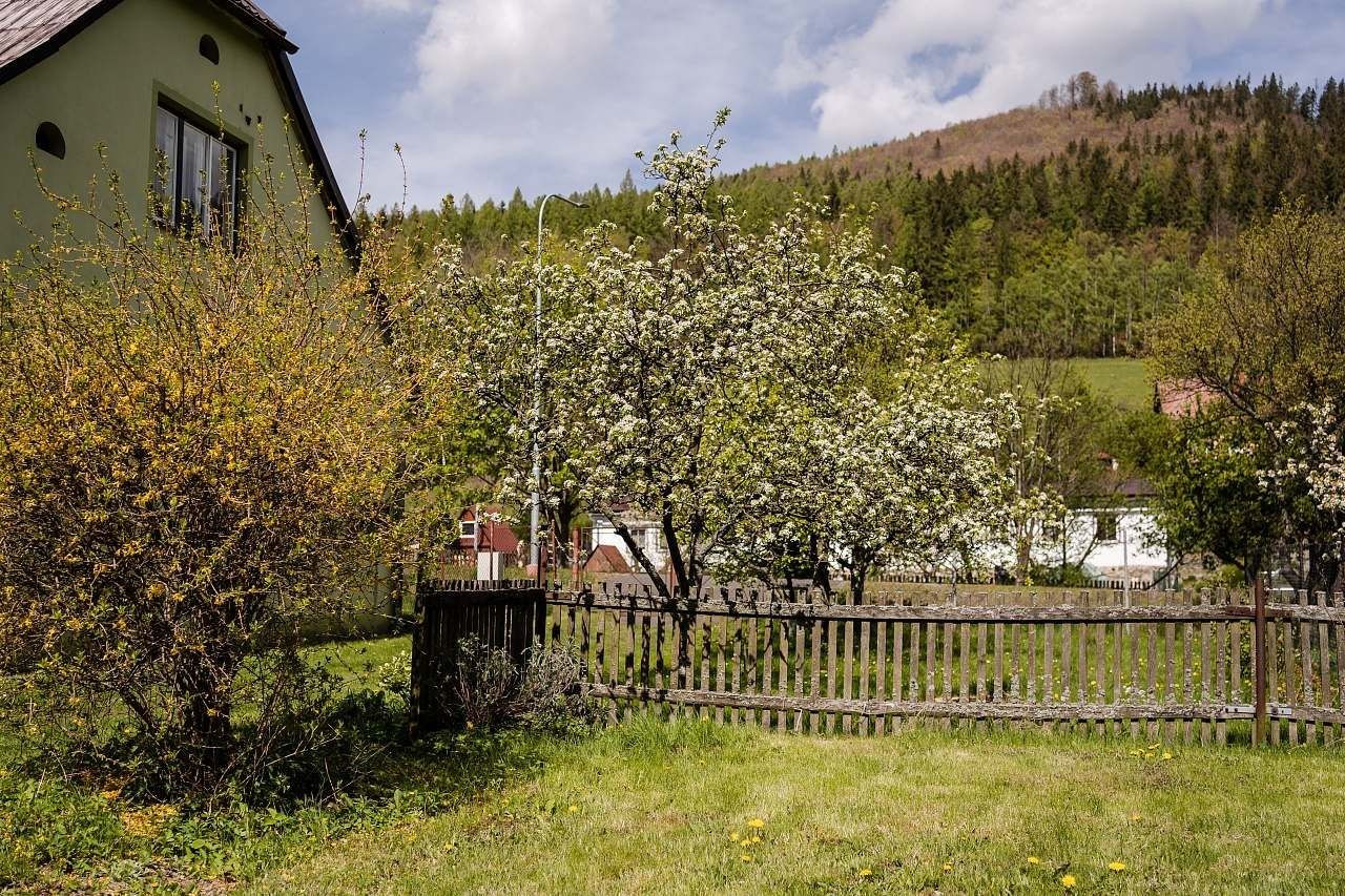 Chata · Ludvíkov pod Pradědem, Moravskoslezský kraj - 3