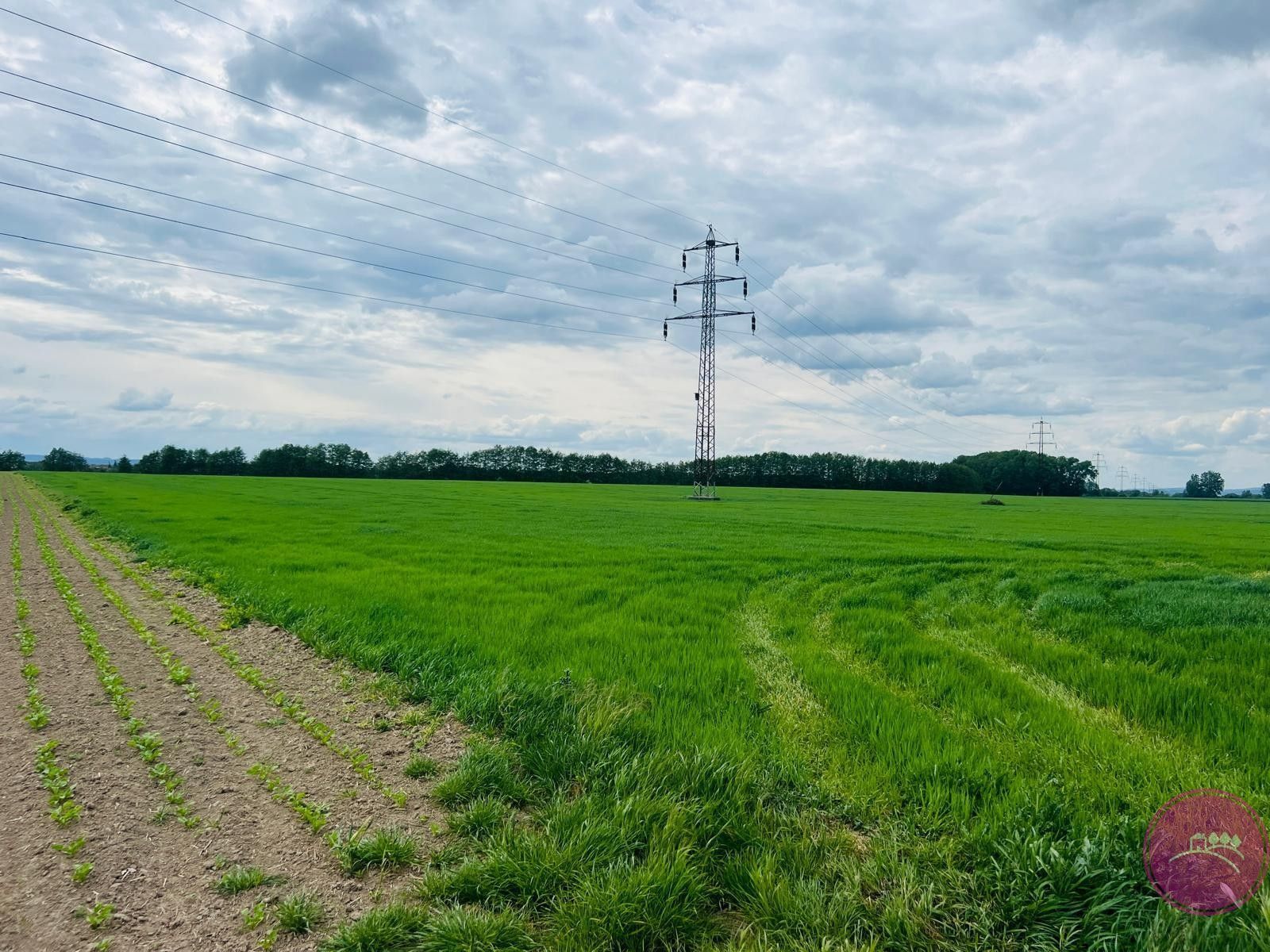 Komerční pozemky, Liboš, 29 280 m²