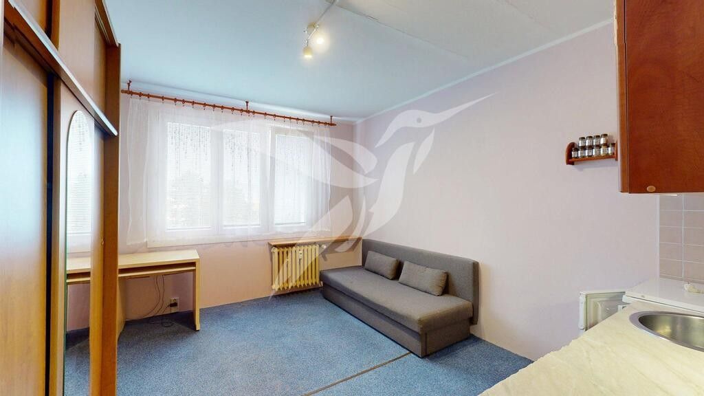 Pronájem byt 1+kk - Skupova 2519, Plzeň Jižní Předměstí, 20 m² - 2