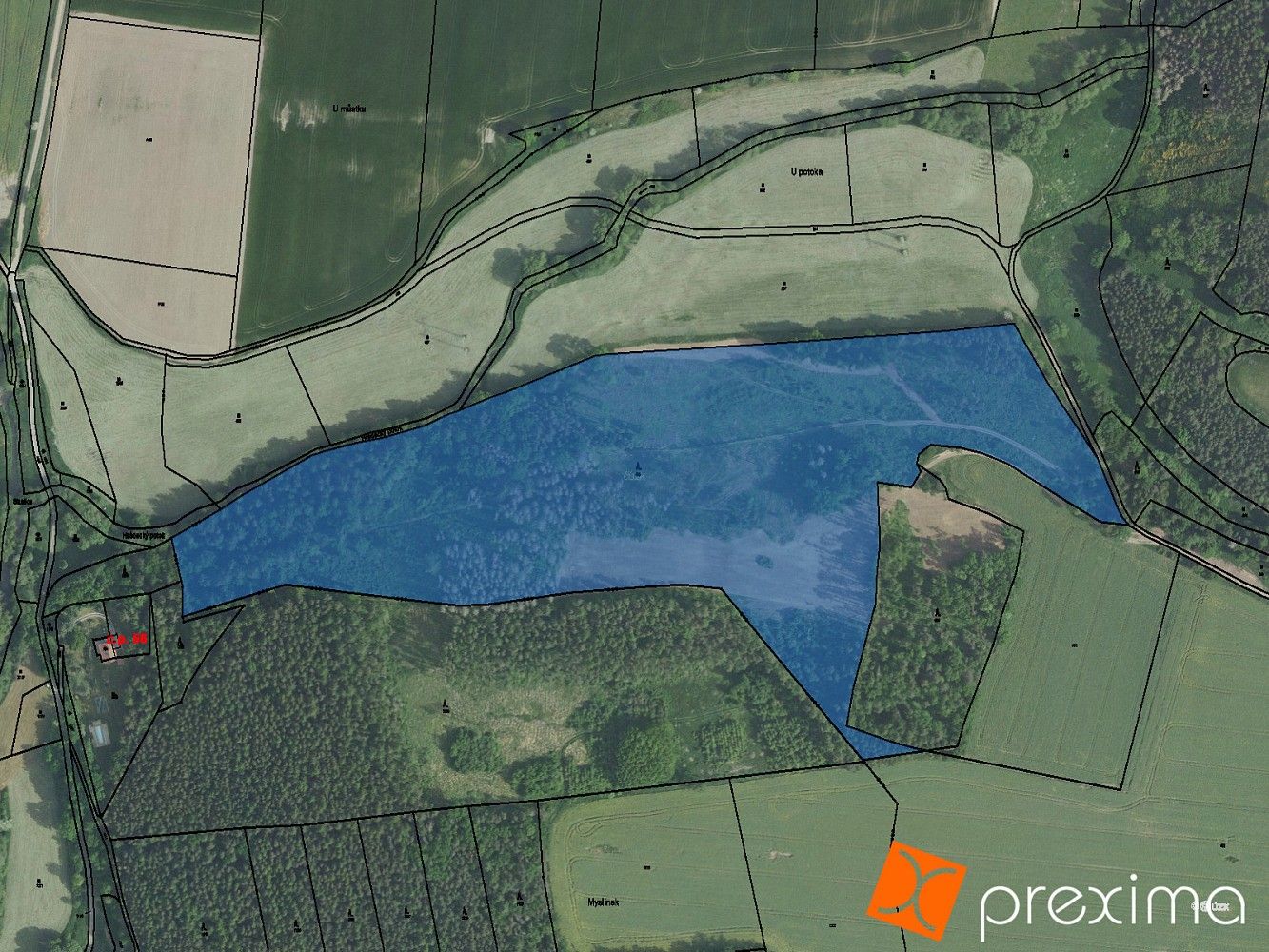 Prodej les - Mirovice, okres Písek, Jihočeský kraj - 1