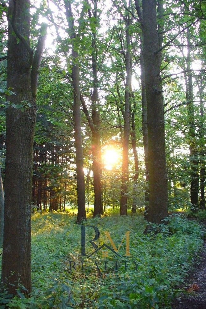 Prodej les - Ludkovice, okres Zlín, Zlínský kraj - 2