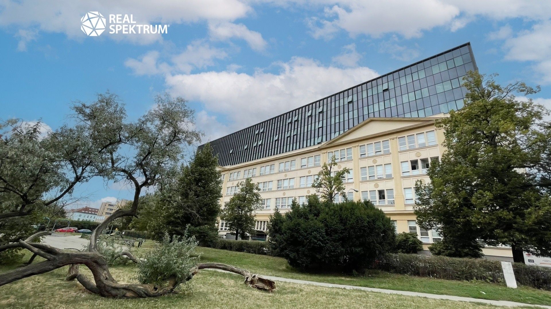 Kanceláře, Šumavská, Brno, 535 m² - 2