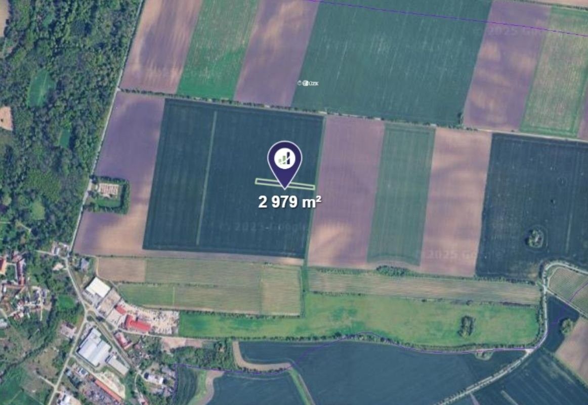 Prodej zemědělský pozemek - Sokolnice - 2