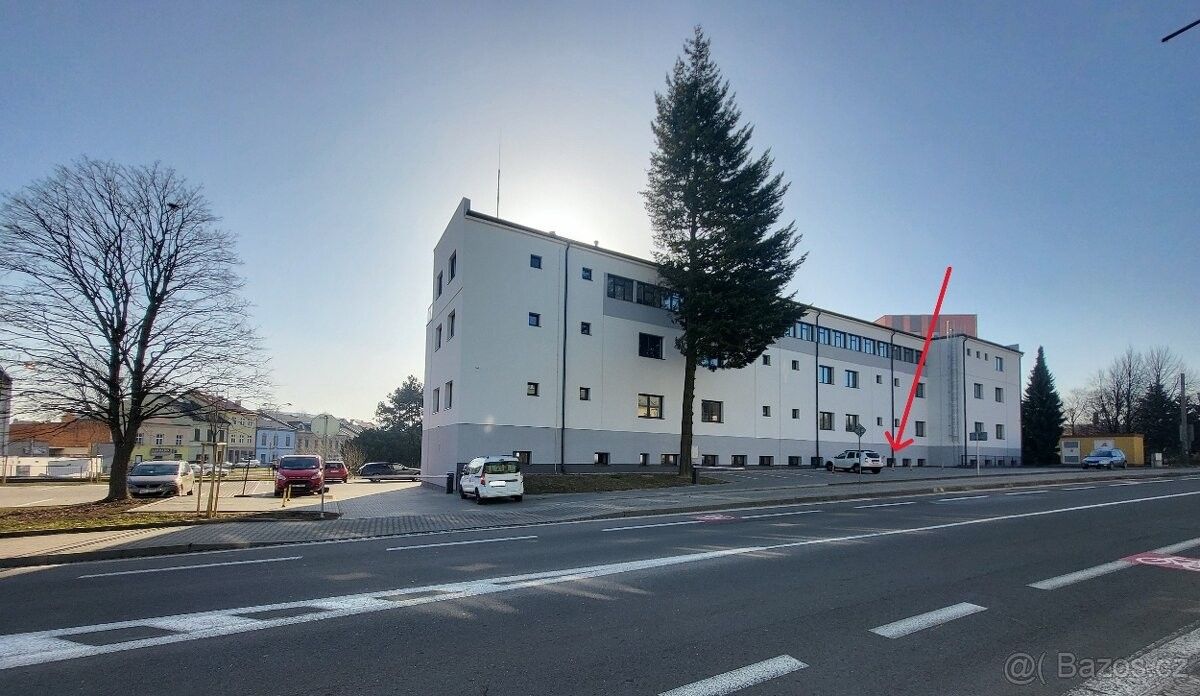 Ostatní, Nový Jičín, 741 01
