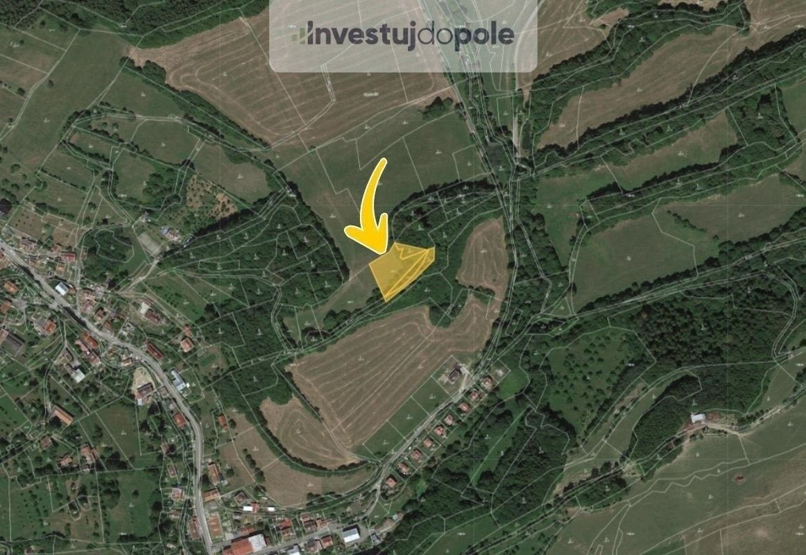 Prodej zemědělský pozemek - Prlov - 2