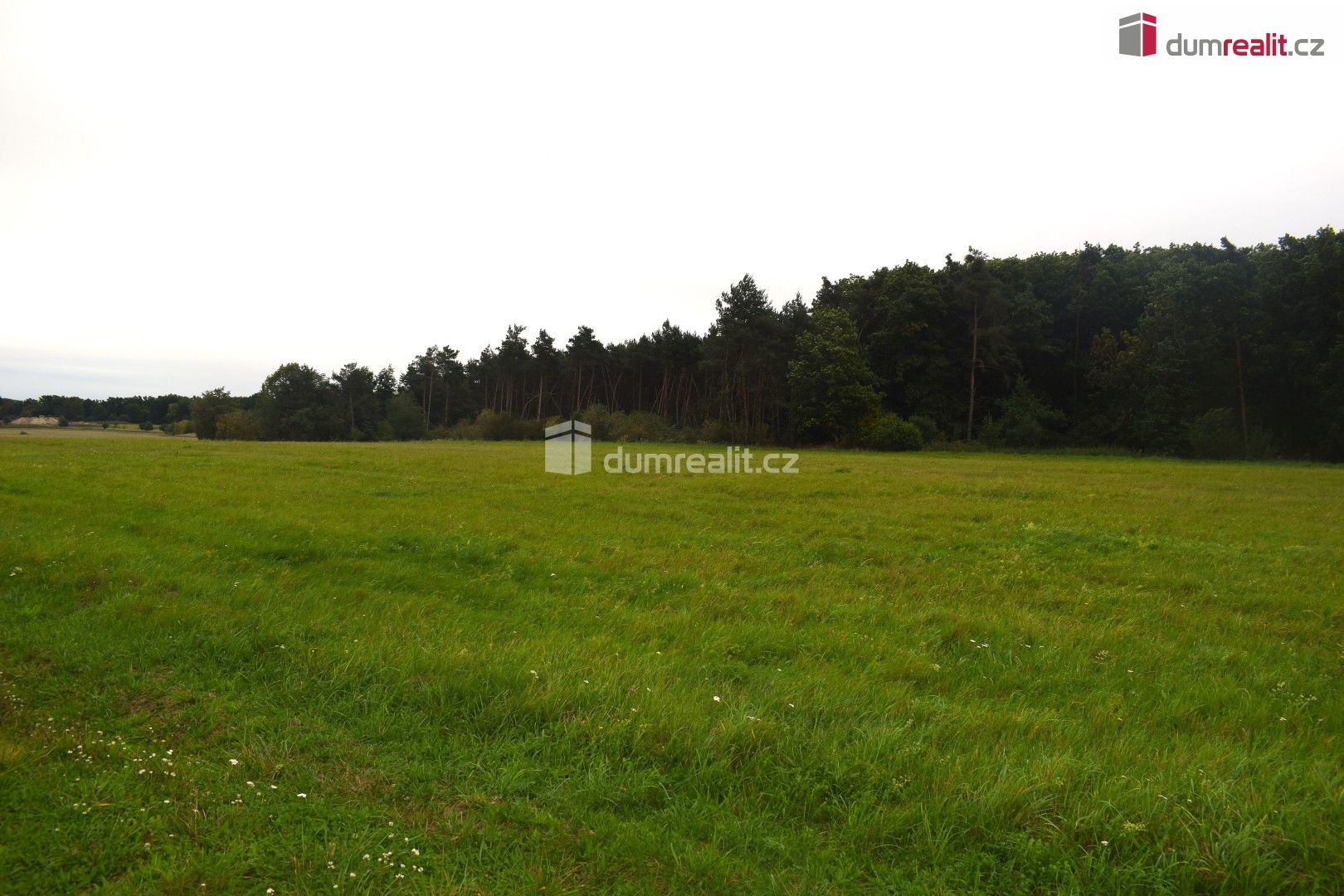 Zemědělské pozemky, Pražská, Benátky nad Jizerou, 6 490 m²