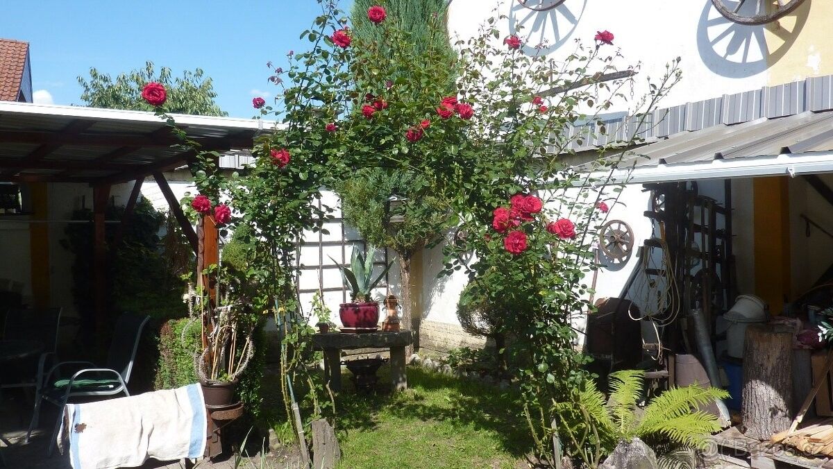 Prodej rodinný dům - Třebechovice pod Orebem, 503 46