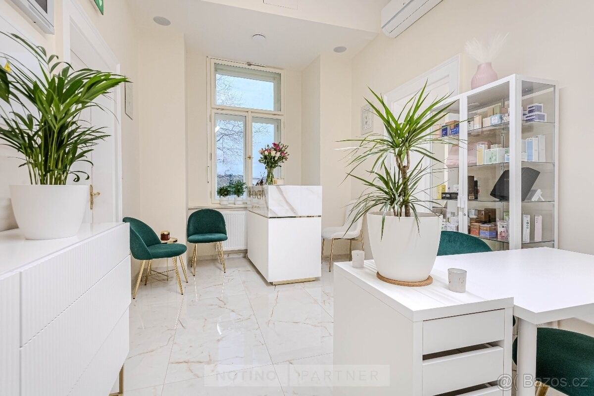 Obchodní prostory, Praha, 110 00