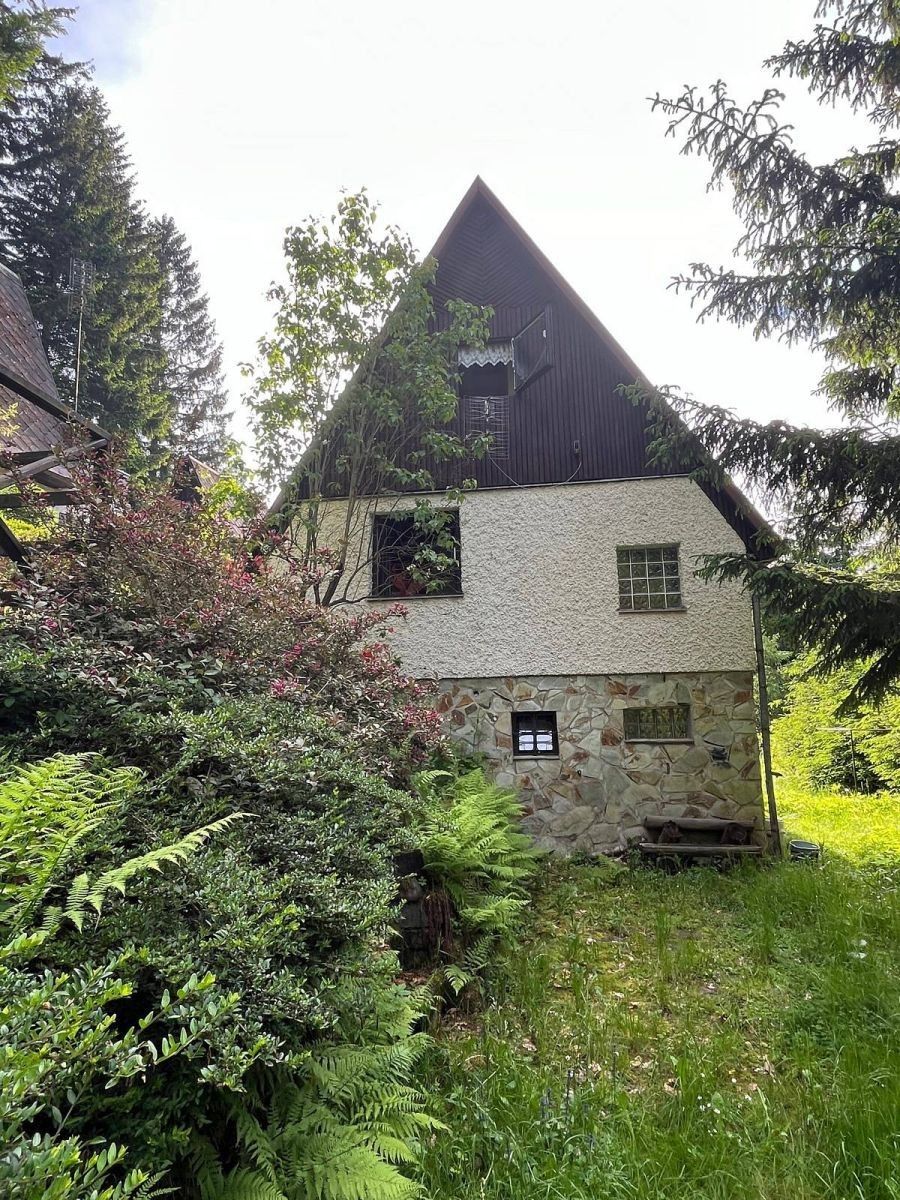 Chaty, Pastviny - Pastviny u Klášterce nad Orlicí, Pardubický kraj - 2