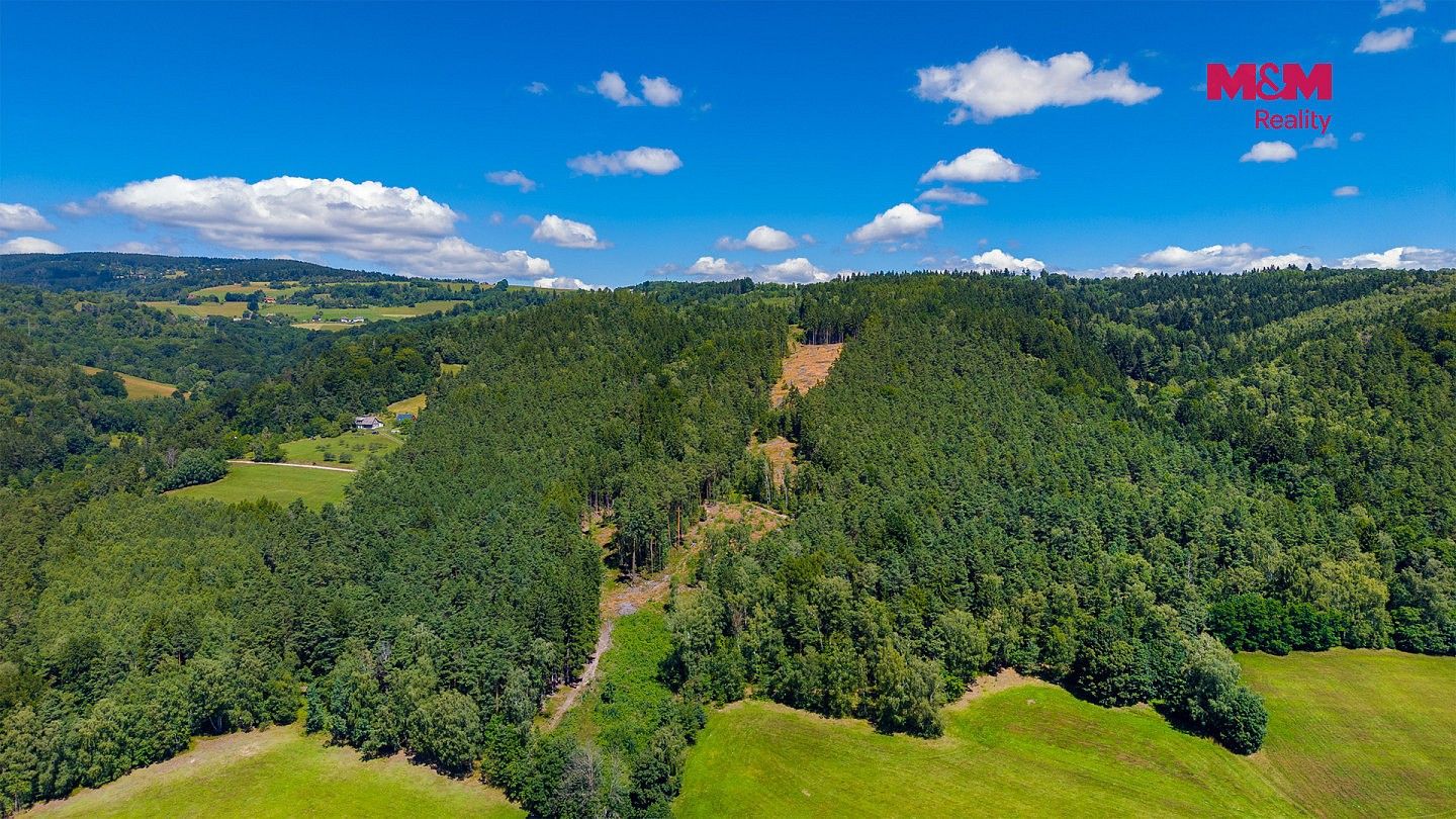 Prodej les - Bílá, okres Liberec, Liberecký kraj - 5