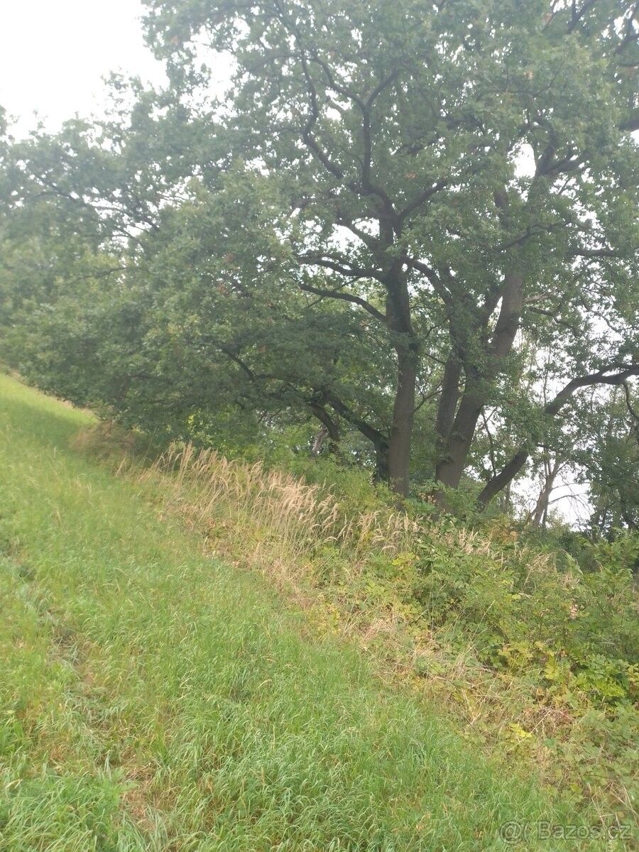 Pozemky pro bydlení, Chotiněves, 411 45