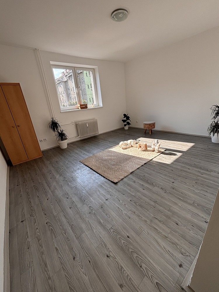 Byt 1+1 · 47 m² · Ostrava, okres Ostrava-město, Moravskoslezský kraj - 4