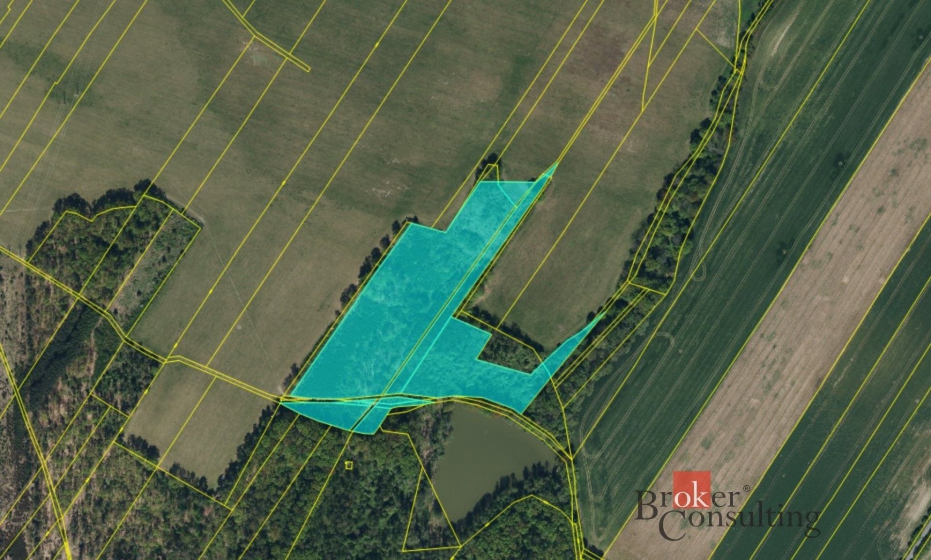Les · 37 347 m² · Pardubice-Staré Město, Pardubice - 4