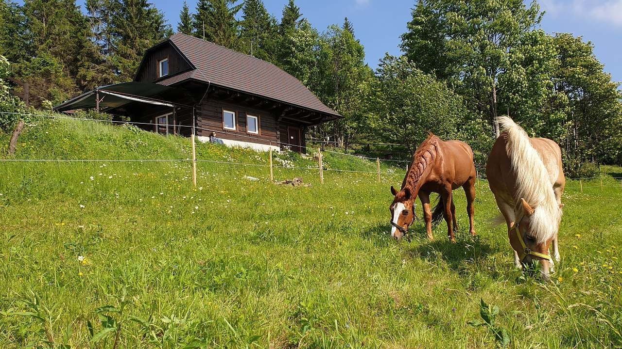 Chata · Korňa, Žilinský kraj - 3