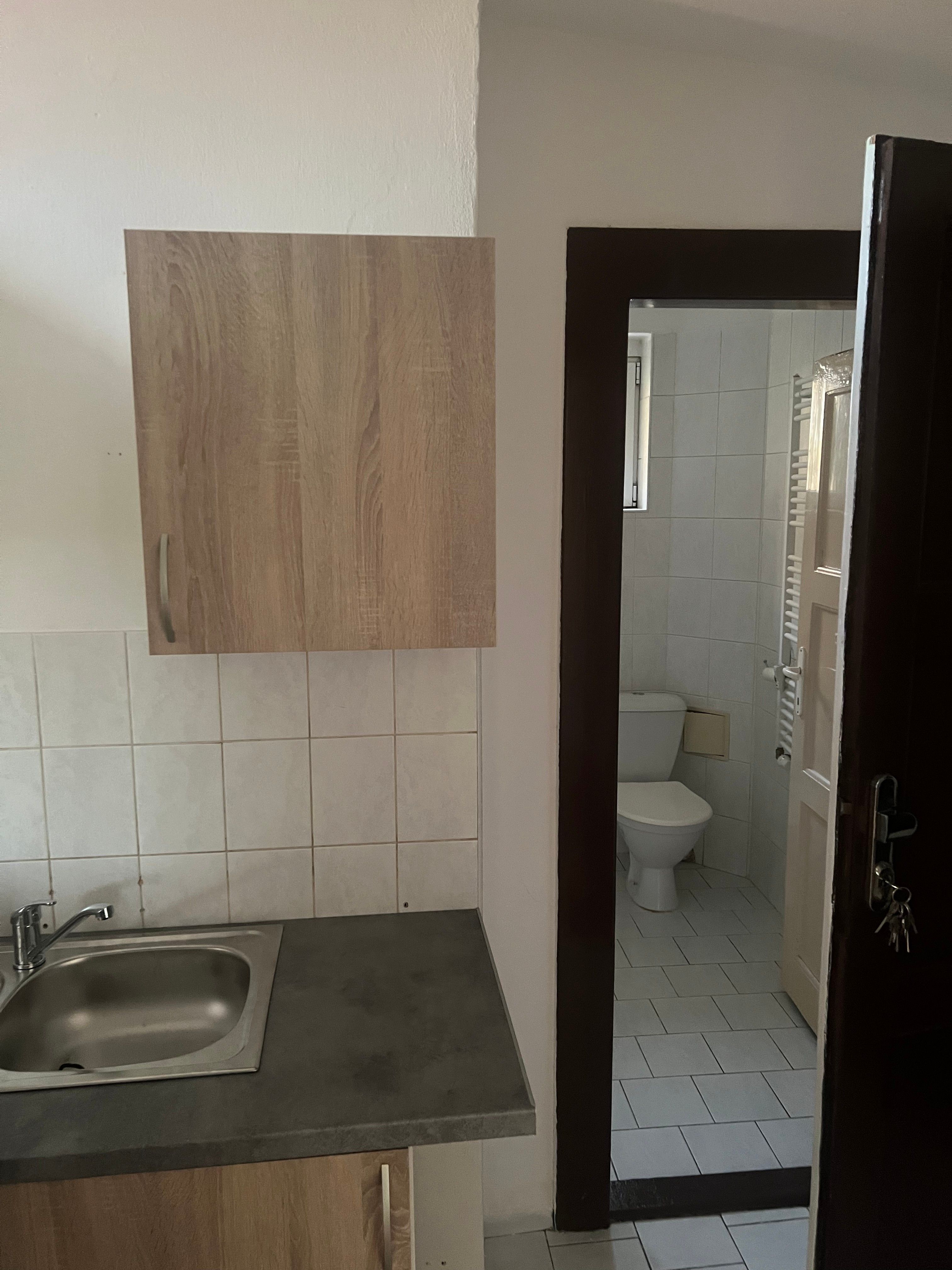 Byt 1+kk · 30 m² · Řepy - 3