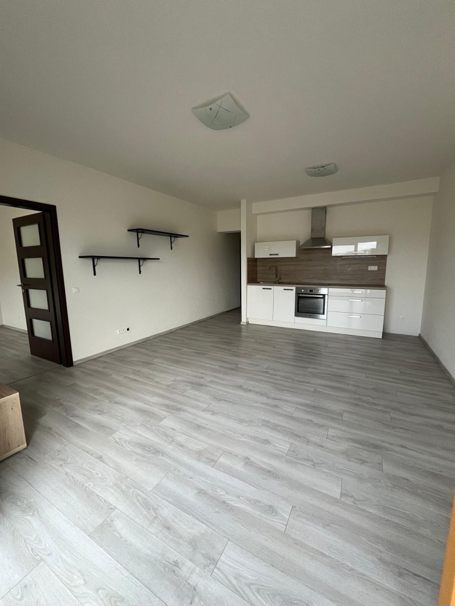 Byt 2+kk · 57 m² · U Velkého rybníka, Plzeň - Bolevec, Plzeňský kraj - 3