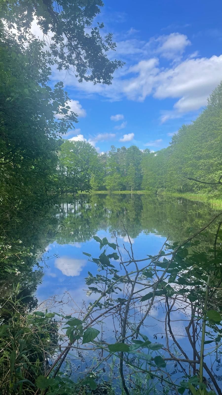 Louky, Žíteč, Chlum u Třeboně, 389 m²