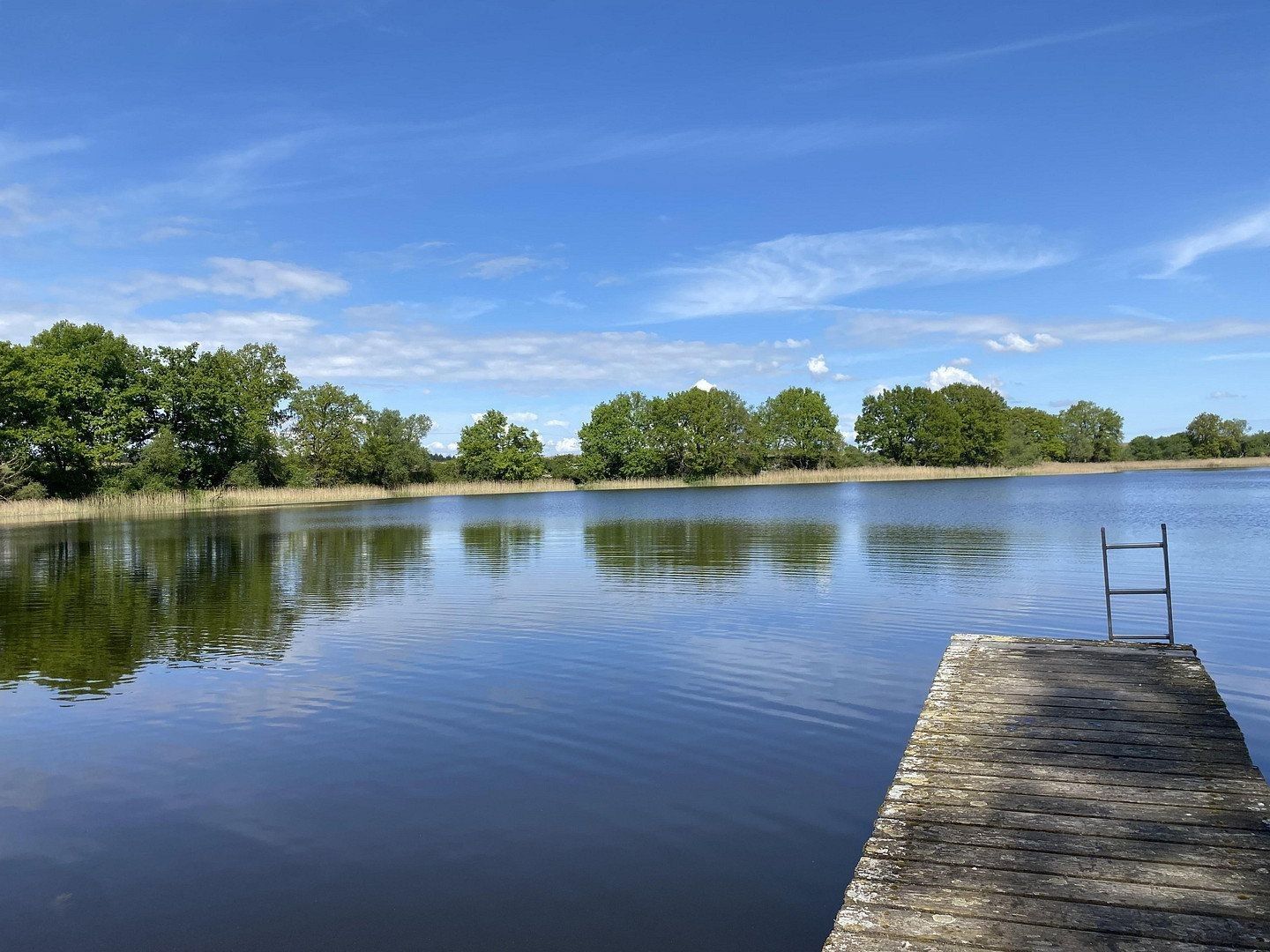 Prodej rodinný dům - , Mecklenburg-Vorpommern, 306 m² - 5