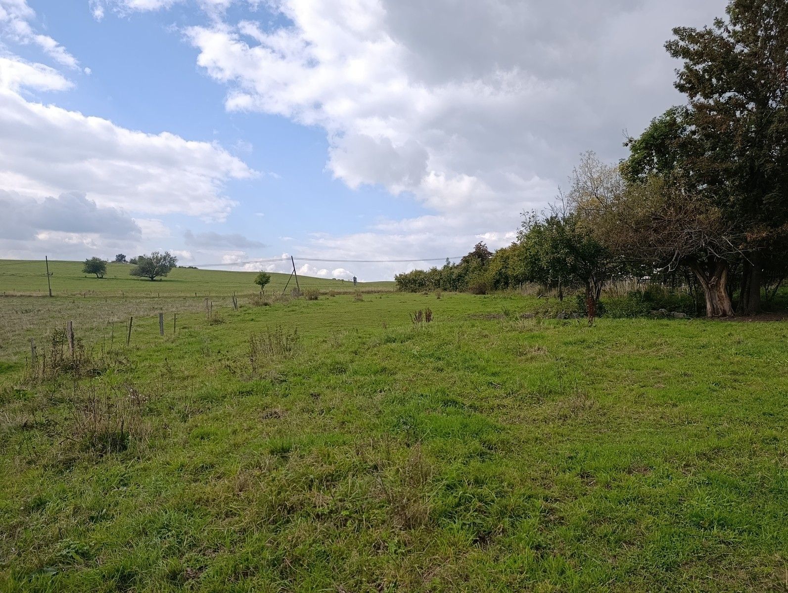 Pozemek pro bydlení · 3 539 m² · Lovečkovice - 4