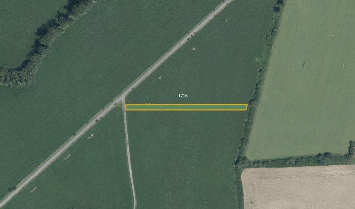 Prodej zemědělský pozemek - Vsisko, Velký Týnec