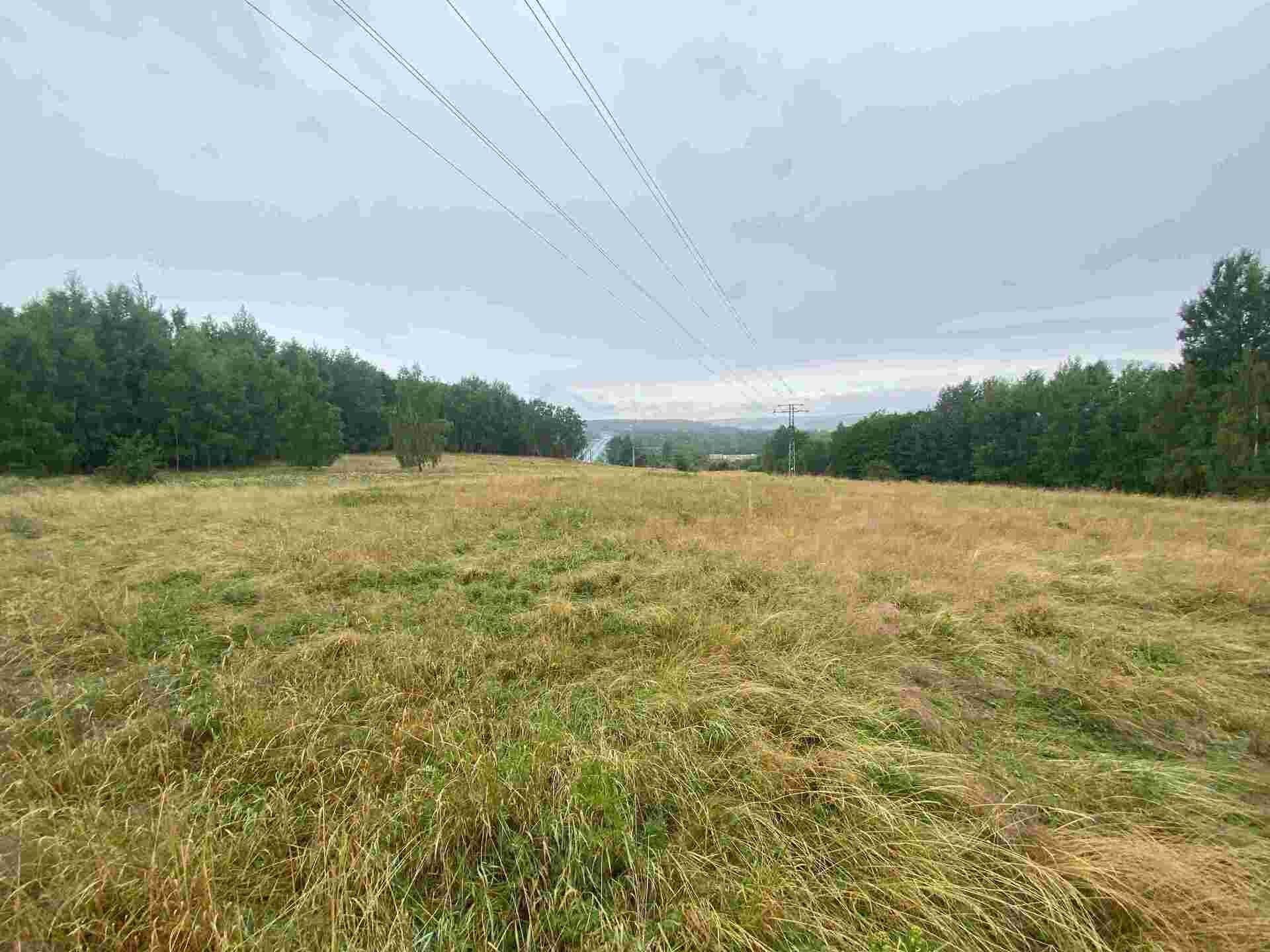 Zemědělské pozemky, Loučky, Nové Sedlo, 49 m²