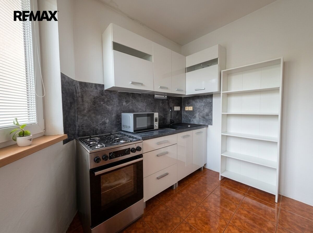 Rodinný dům · 260 m² · U Bílé vody, Kobeřice - 3