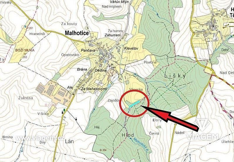 Les · Malhotice, okres Přerov, Olomoucký kraj - 4